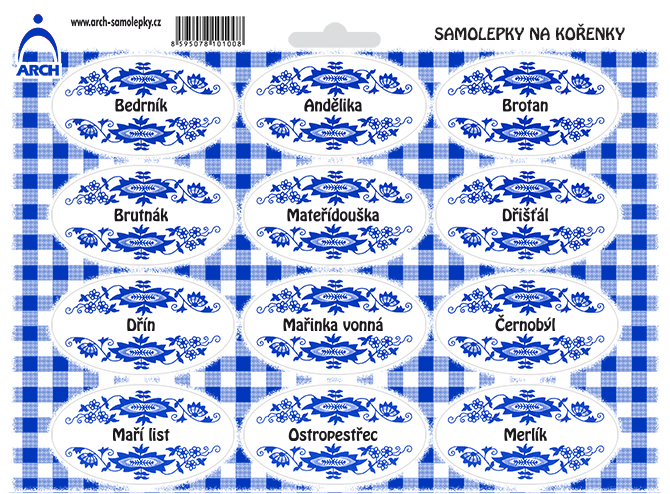 Modrý cibulák - Bedrník