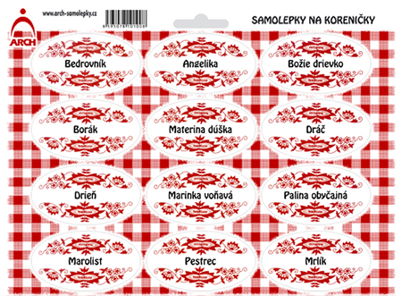 Hnědý cibulák - Bedrovník