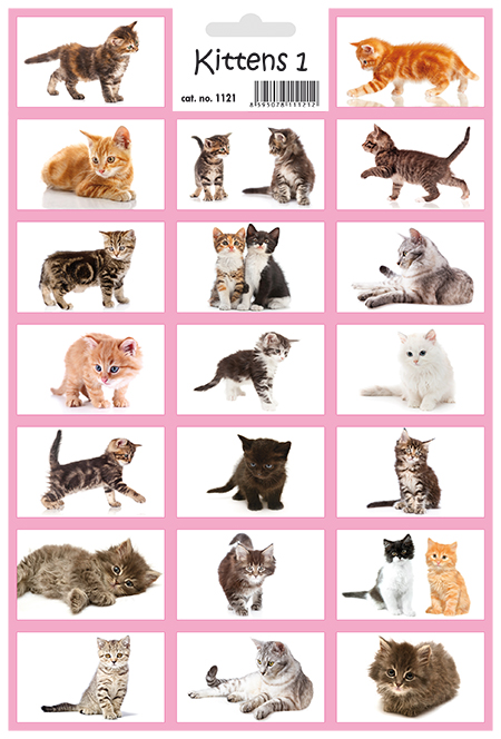 Koťata 1 - Kittens 1