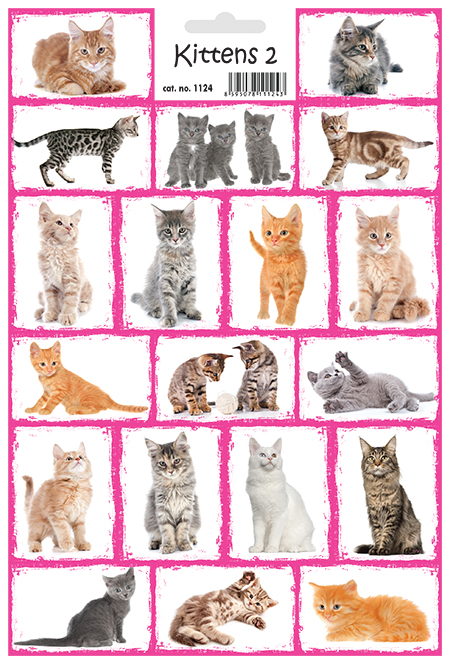 Koťata 2 - Kittens 2