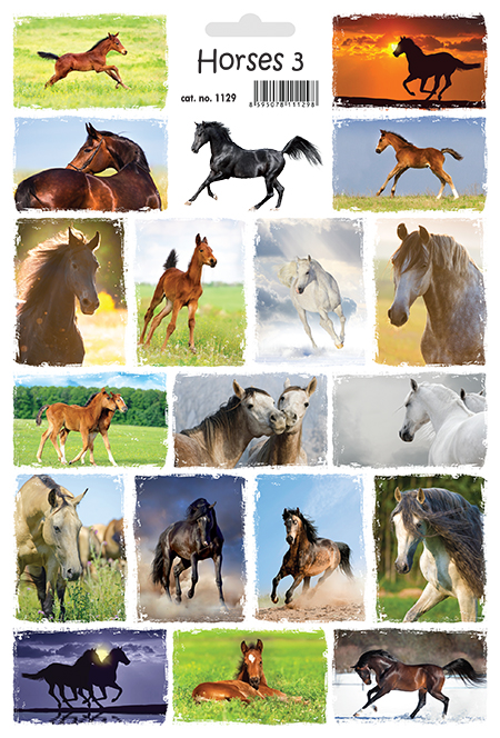 Zvířata - MIX po 5 kusech