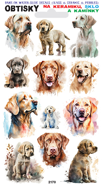 Obtisky na sklo, keramiku a kamínky - Labrador