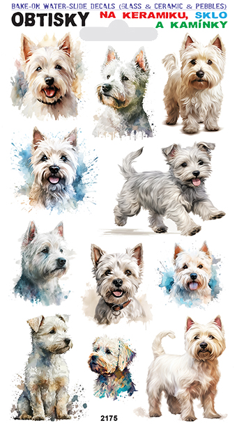 Obtisky na sklo, keramiku a kamínky - Zlatý retrívr