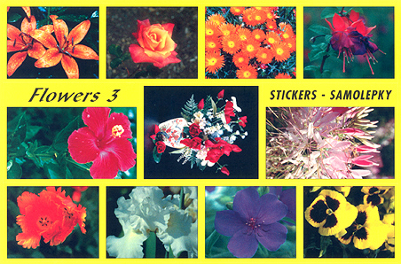 Květiny 3