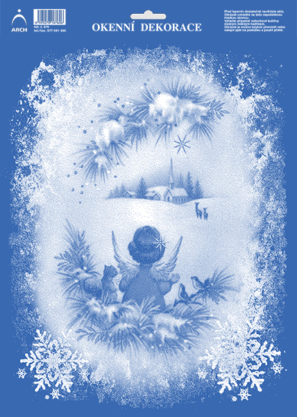 Andílek za zamrzlým oknem