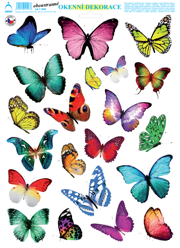 Adhezní motýli 03