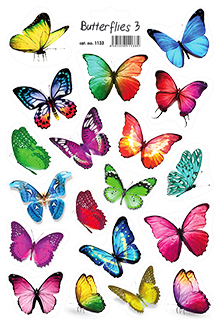 Motýli 3