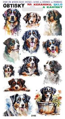 Obtisky na sklo, keramiku a kamínky - Bernský salašnický pes