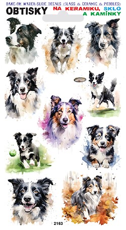 Obtisky na sklo, keramiku a kamínky - Border kolie