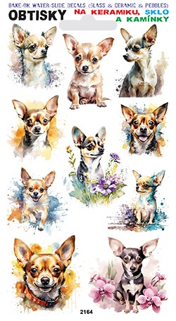 Obtisky na sklo, keramiku a kamínky - Čivava