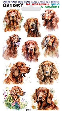 Obtisky na sklo, keramiku a kamínky - Irský setr