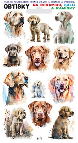 Obtisky na sklo, keramiku a kamínky - Labrador