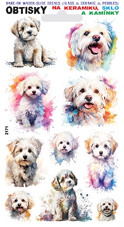 Obtisky na sklo, keramiku a kamínky - Maltézský psík
