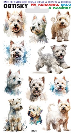 Obtisky na sklo, keramiku a kamínky - Zlatý retrívr