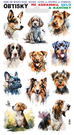 Obtisky na sklo, keramiku a kamínky - různí psi 01