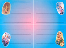 Štítky na sešity - Květiny 1