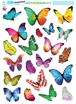Adhezní motýli 01