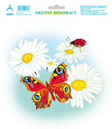 Motýl a beruška na kopretinách